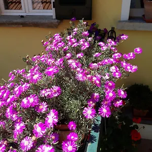 Casa Azzurra Appartement Menaggio